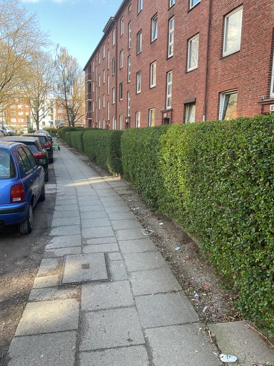 Geschnittene Hecke entlang eines Gehwegs