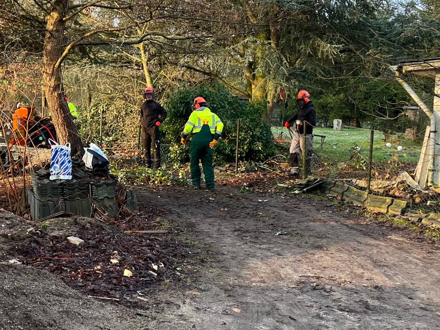 Mitarbeiter der Gartendienst Treisch GmbH in Schutzkleidung bei Fällarbeiten